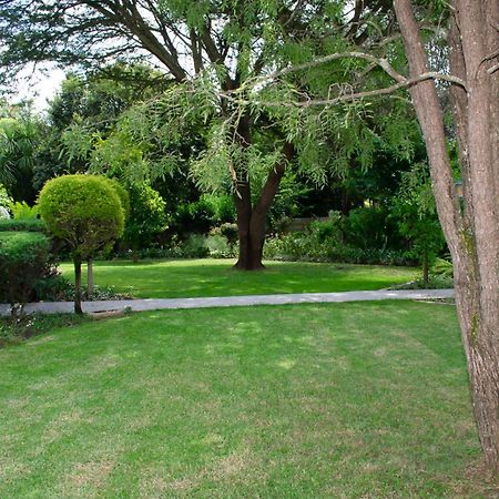 Chez Nous Bed And Breakfast & Self Catering ดันดี ภายนอก รูปภาพ
